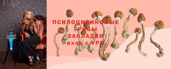 соль курить ск Алзамай