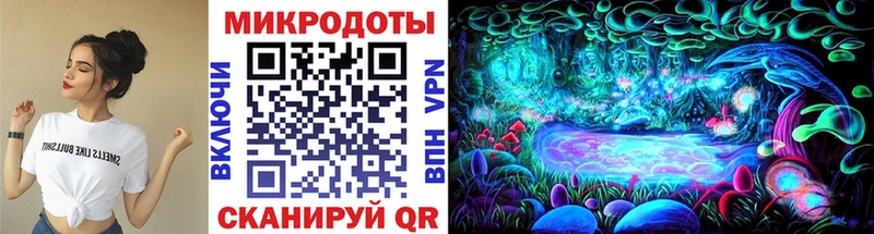 hydra ONION  Щёлково  Галлюциногенные грибы Magic Shrooms  хочу наркоту 